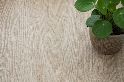 Beige Faded Oak - NF57