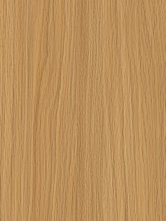 Honey Beech - NF79