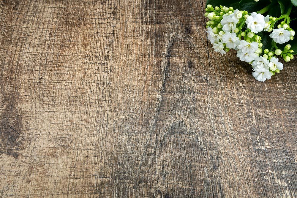 Driftwood Brown - NF83