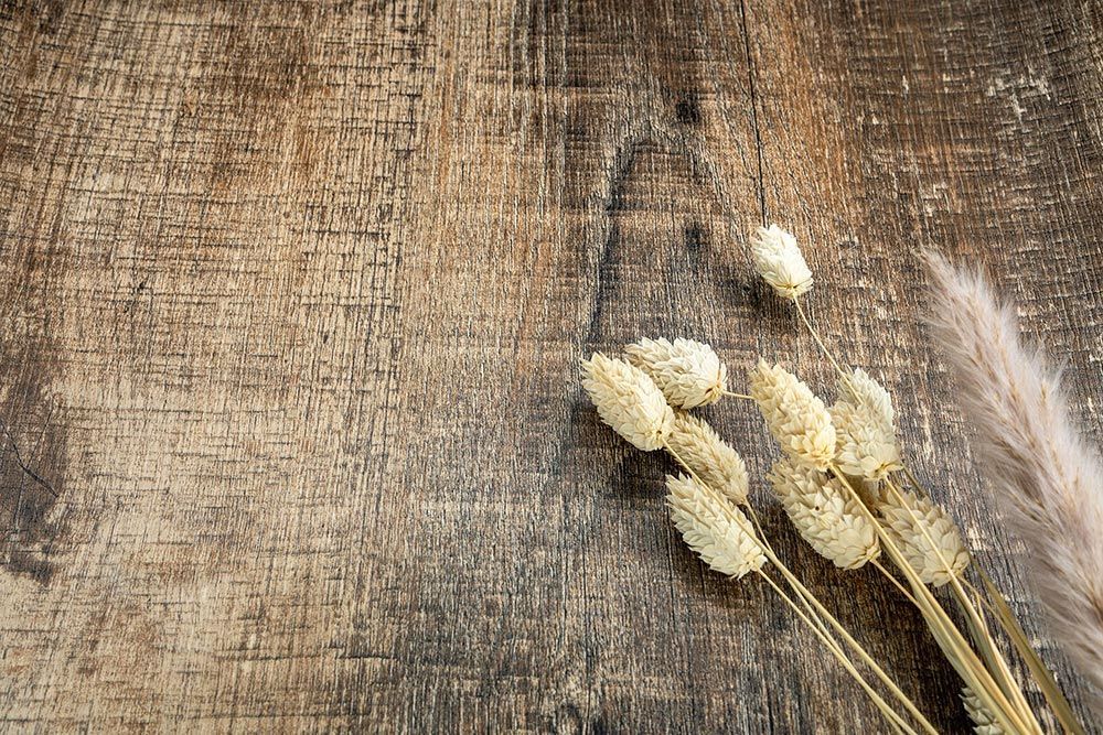 Driftwood Brown - NF83