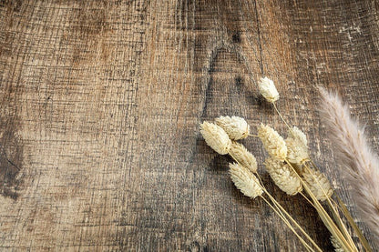 Driftwood Brown - NF83