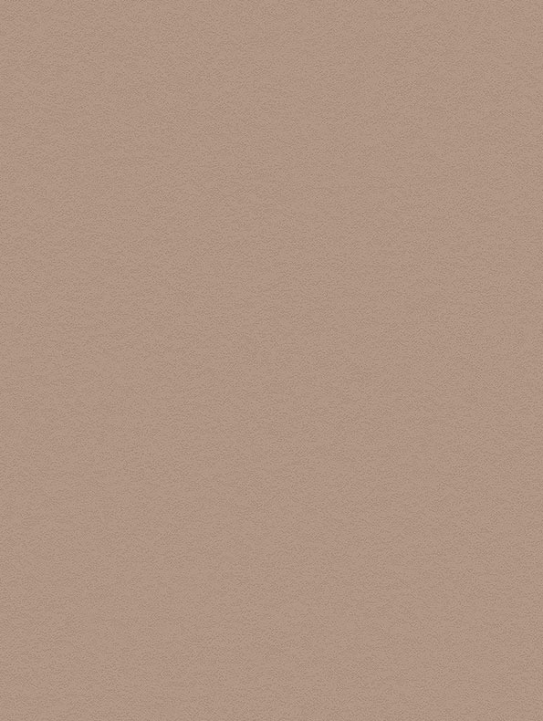 Terracotta Stucco  - NH12