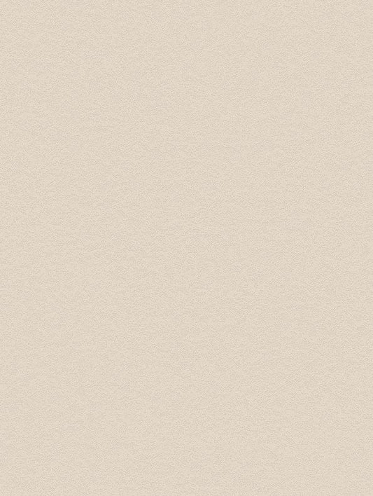 Snowflake Stucco - NH49