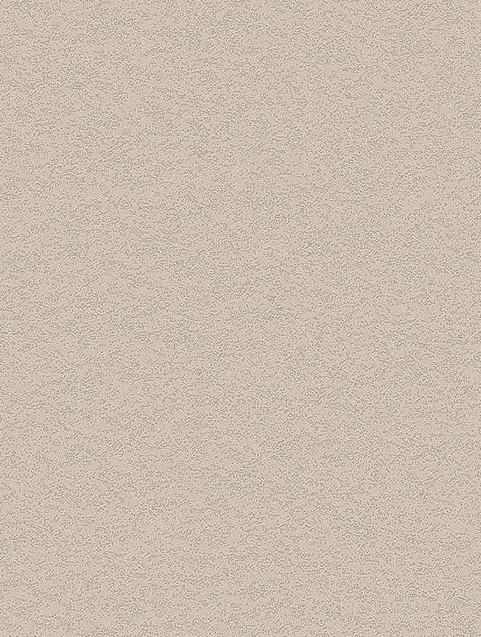Cashmere Stucco  - NH50