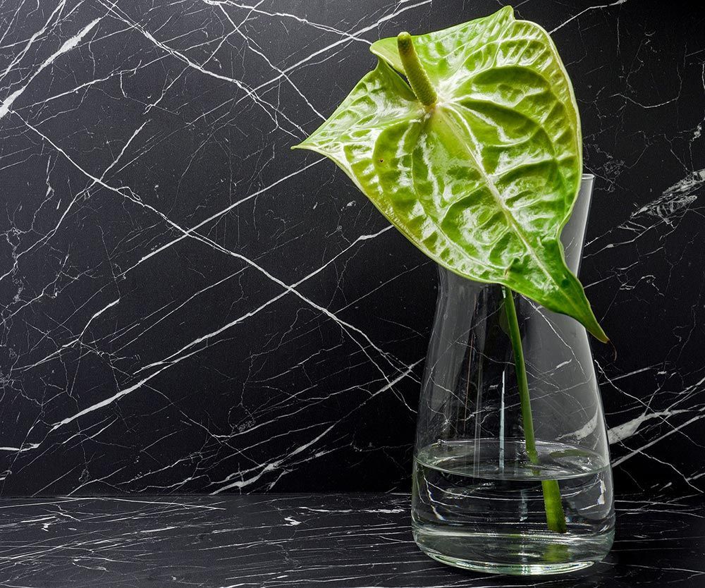 Nero Marquina - U50