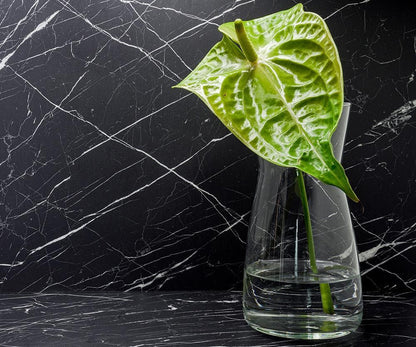 Nero Marquina - U50